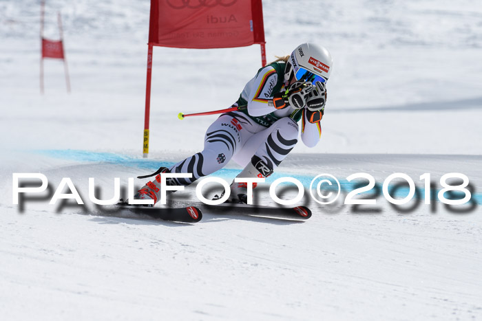 FIS, Int. Dt. Meisterschaft Abfahrt, Training, NC, NJC Damen + Herren, 22.03.2018