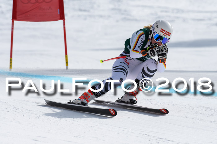 FIS, Int. Dt. Meisterschaft Abfahrt, Training, NC, NJC Damen + Herren, 22.03.2018