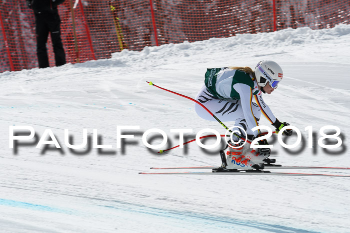 FIS, Int. Dt. Meisterschaft Abfahrt, Training, NC, NJC Damen + Herren, 22.03.2018