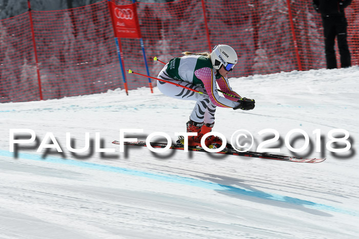FIS, Int. Dt. Meisterschaft Abfahrt, Training, NC, NJC Damen + Herren, 22.03.2018