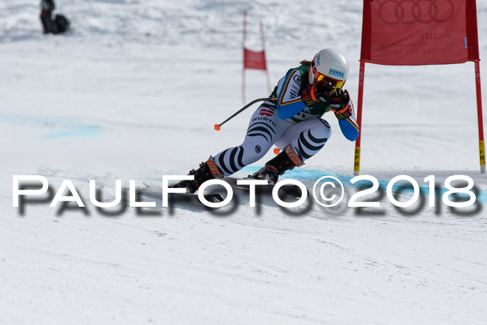 FIS, Int. Dt. Meisterschaft Abfahrt, Training, NC, NJC Damen + Herren, 22.03.2018