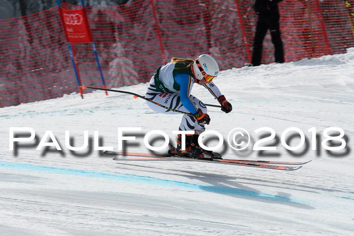 FIS, Int. Dt. Meisterschaft Abfahrt, Training, NC, NJC Damen + Herren, 22.03.2018