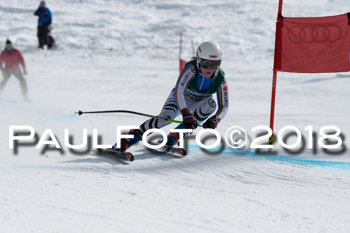 FIS, Int. Dt. Meisterschaft Abfahrt, Training, NC, NJC Damen + Herren, 22.03.2018