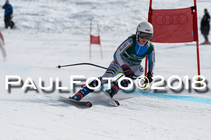 FIS, Int. Dt. Meisterschaft Abfahrt, Training, NC, NJC Damen + Herren, 22.03.2018