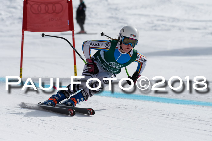 FIS, Int. Dt. Meisterschaft Abfahrt, Training, NC, NJC Damen + Herren, 22.03.2018
