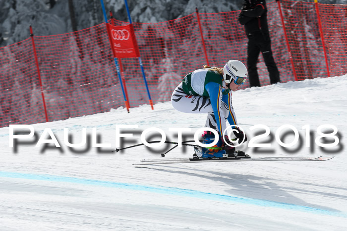 FIS, Int. Dt. Meisterschaft Abfahrt, Training, NC, NJC Damen + Herren, 22.03.2018