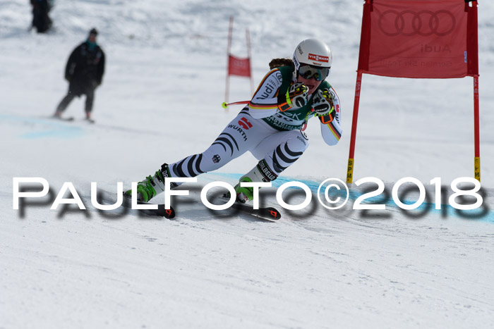 FIS, Int. Dt. Meisterschaft Abfahrt, Training, NC, NJC Damen + Herren, 22.03.2018