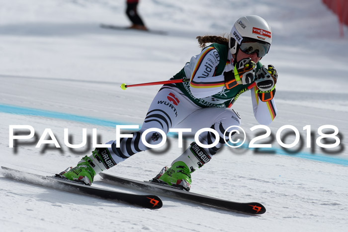 FIS, Int. Dt. Meisterschaft Abfahrt, Training, NC, NJC Damen + Herren, 22.03.2018