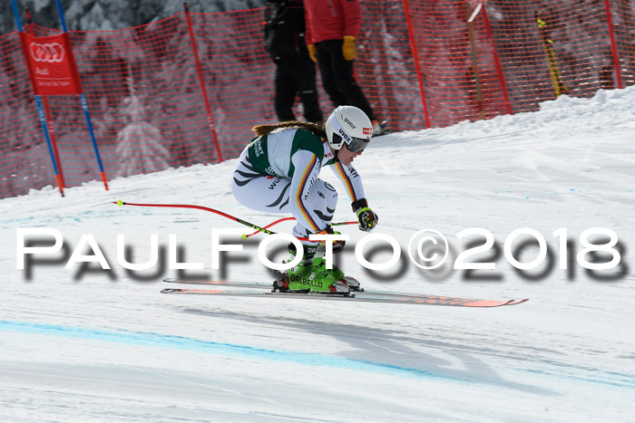 FIS, Int. Dt. Meisterschaft Abfahrt, Training, NC, NJC Damen + Herren, 22.03.2018