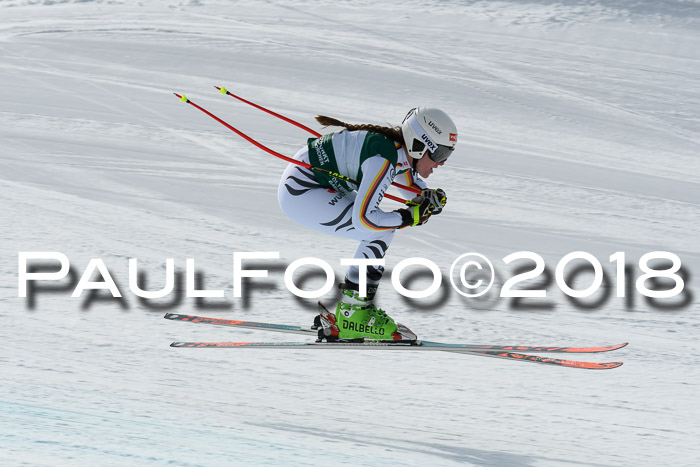 FIS, Int. Dt. Meisterschaft Abfahrt, Training, NC, NJC Damen + Herren, 22.03.2018