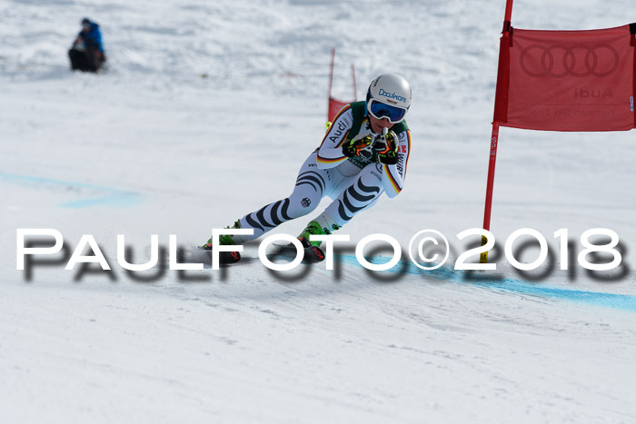 FIS, Int. Dt. Meisterschaft Abfahrt, Training, NC, NJC Damen + Herren, 22.03.2018