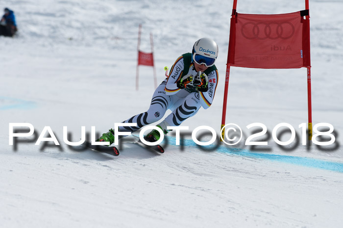 FIS, Int. Dt. Meisterschaft Abfahrt, Training, NC, NJC Damen + Herren, 22.03.2018