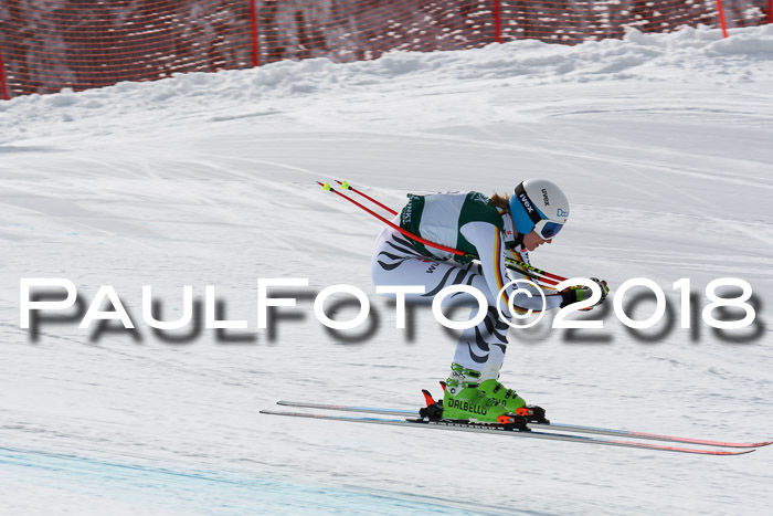FIS, Int. Dt. Meisterschaft Abfahrt, Training, NC, NJC Damen + Herren, 22.03.2018