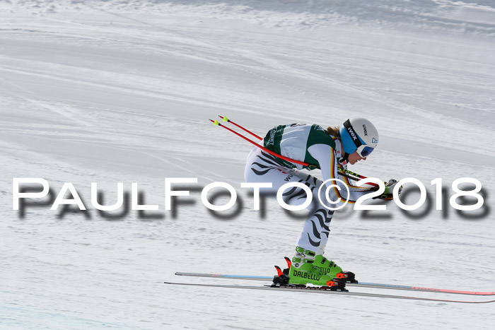 FIS, Int. Dt. Meisterschaft Abfahrt, Training, NC, NJC Damen + Herren, 22.03.2018