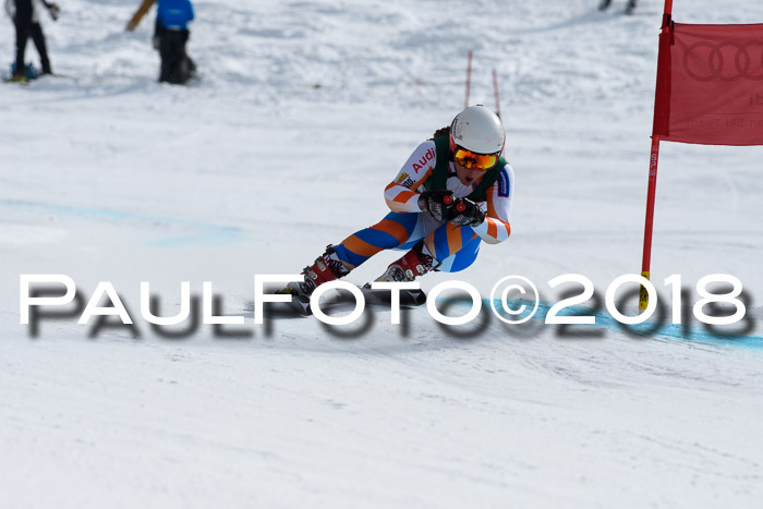 FIS, Int. Dt. Meisterschaft Abfahrt, Training, NC, NJC Damen + Herren, 22.03.2018