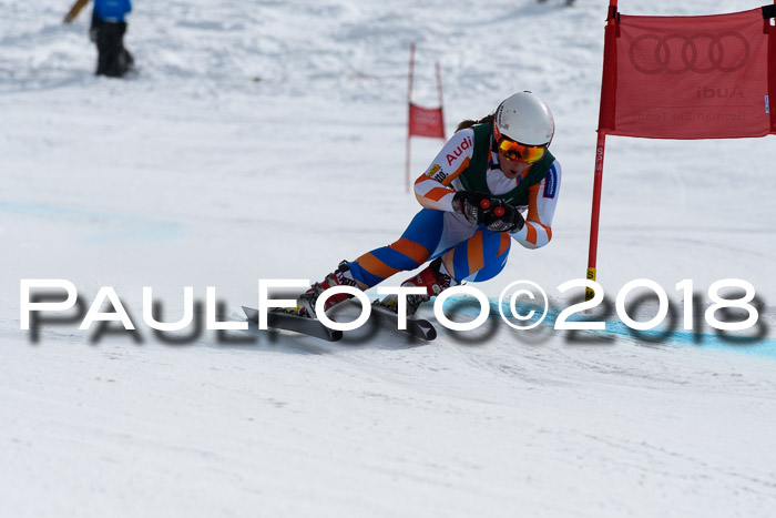 FIS, Int. Dt. Meisterschaft Abfahrt, Training, NC, NJC Damen + Herren, 22.03.2018