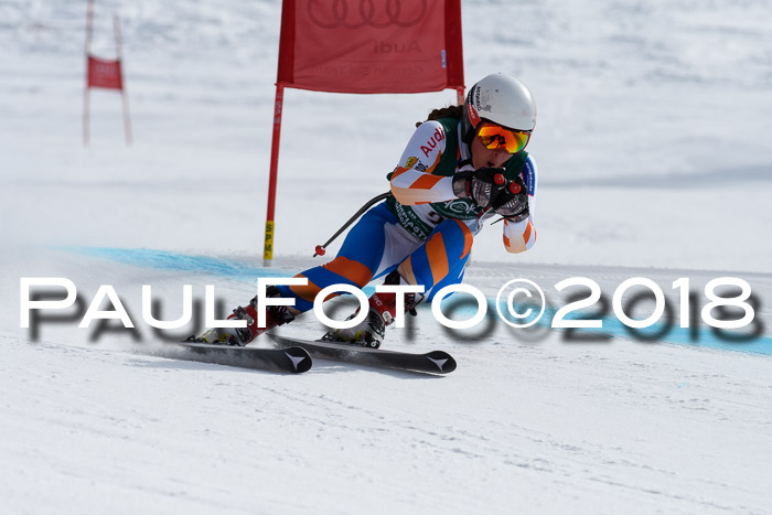 FIS, Int. Dt. Meisterschaft Abfahrt, Training, NC, NJC Damen + Herren, 22.03.2018