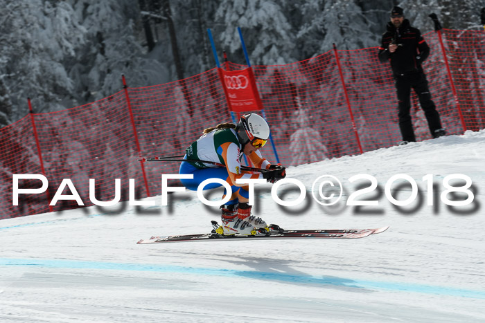 FIS, Int. Dt. Meisterschaft Abfahrt, Training, NC, NJC Damen + Herren, 22.03.2018