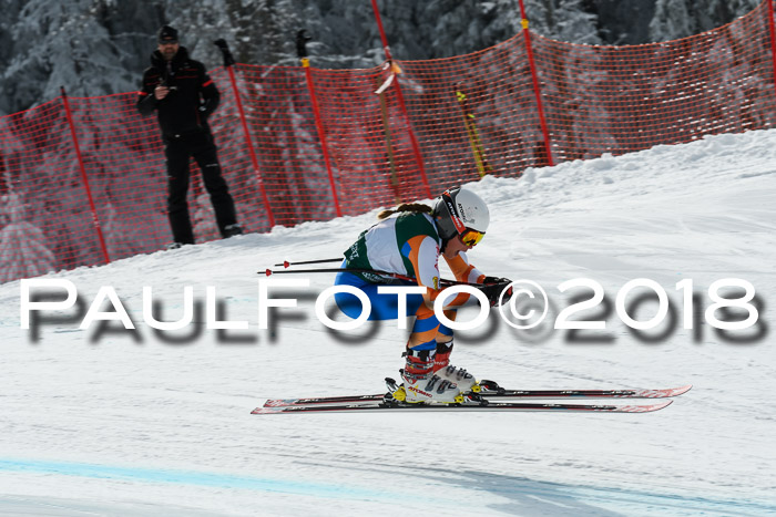 FIS, Int. Dt. Meisterschaft Abfahrt, Training, NC, NJC Damen + Herren, 22.03.2018