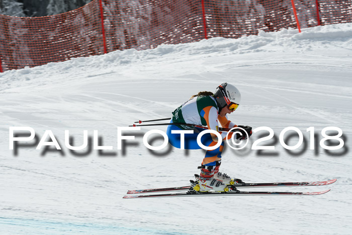 FIS, Int. Dt. Meisterschaft Abfahrt, Training, NC, NJC Damen + Herren, 22.03.2018