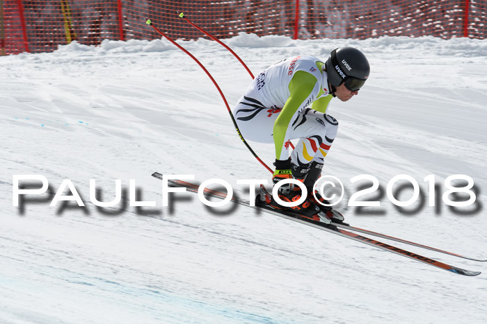 FIS, Int. Dt. Meisterschaft Abfahrt, Training, NC, NJC Damen + Herren, 22.03.2018