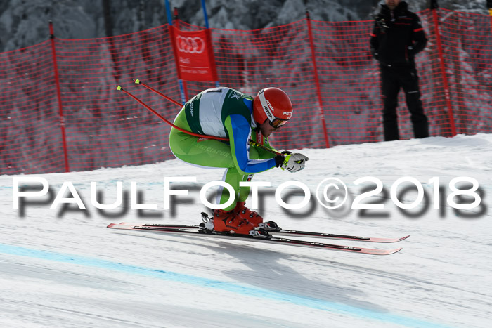 FIS, Int. Dt. Meisterschaft Abfahrt, Training, NC, NJC Damen + Herren, 22.03.2018