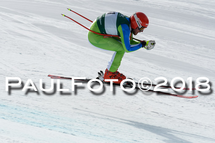 FIS, Int. Dt. Meisterschaft Abfahrt, Training, NC, NJC Damen + Herren, 22.03.2018