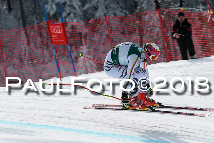 FIS, Int. Dt. Meisterschaft Abfahrt, Training, NC, NJC Damen + Herren, 22.03.2018