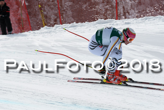 FIS, Int. Dt. Meisterschaft Abfahrt, Training, NC, NJC Damen + Herren, 22.03.2018