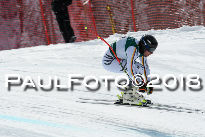 FIS, Int. Dt. Meisterschaft Abfahrt, Training, NC, NJC Damen + Herren, 22.03.2018