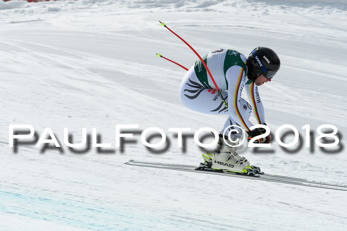 FIS, Int. Dt. Meisterschaft Abfahrt, Training, NC, NJC Damen + Herren, 22.03.2018