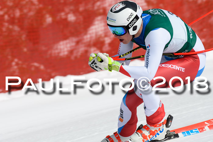 FIS, Int. Dt. Meisterschaft Abfahrt, Training, NC, NJC Damen + Herren, 22.03.2018