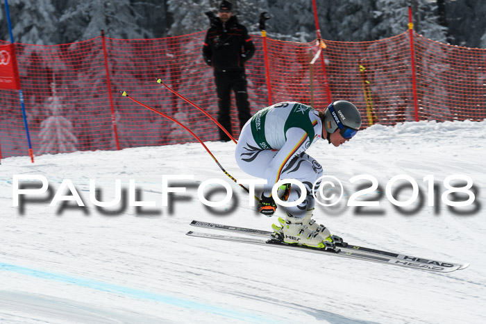 FIS, Int. Dt. Meisterschaft Abfahrt, Training, NC, NJC Damen + Herren, 22.03.2018