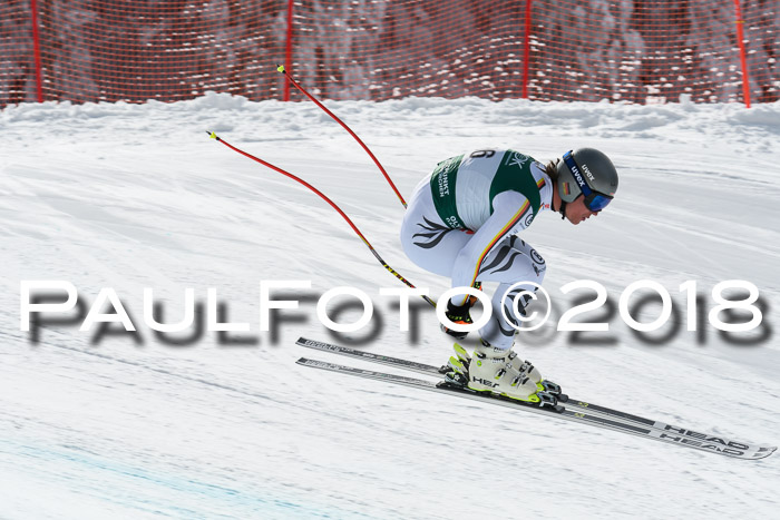 FIS, Int. Dt. Meisterschaft Abfahrt, Training, NC, NJC Damen + Herren, 22.03.2018