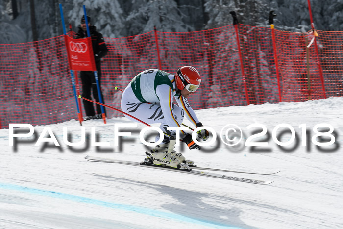 FIS, Int. Dt. Meisterschaft Abfahrt, Training, NC, NJC Damen + Herren, 22.03.2018