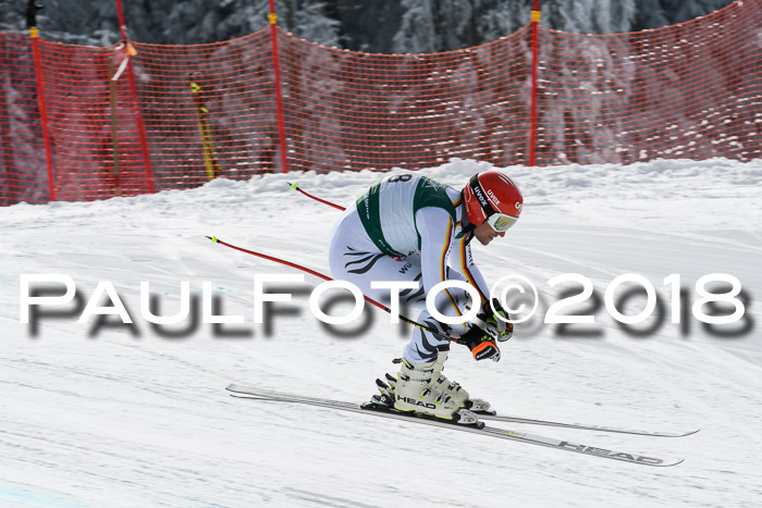 FIS, Int. Dt. Meisterschaft Abfahrt, Training, NC, NJC Damen + Herren, 22.03.2018