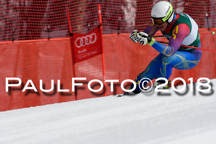 FIS, Int. Dt. Meisterschaft Abfahrt, Training, NC, NJC Damen + Herren, 22.03.2018