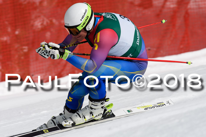 FIS, Int. Dt. Meisterschaft Abfahrt, Training, NC, NJC Damen + Herren, 22.03.2018