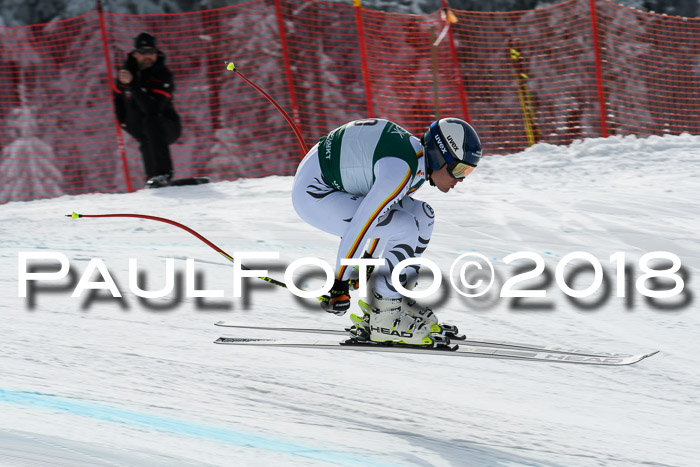 FIS, Int. Dt. Meisterschaft Abfahrt, Training, NC, NJC Damen + Herren, 22.03.2018
