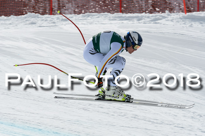 FIS, Int. Dt. Meisterschaft Abfahrt, Training, NC, NJC Damen + Herren, 22.03.2018