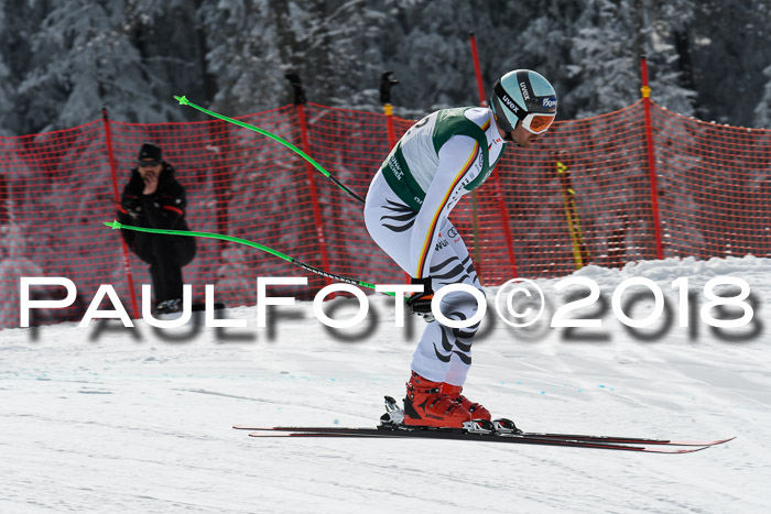 FIS, Int. Dt. Meisterschaft Abfahrt, Training, NC, NJC Damen + Herren, 22.03.2018