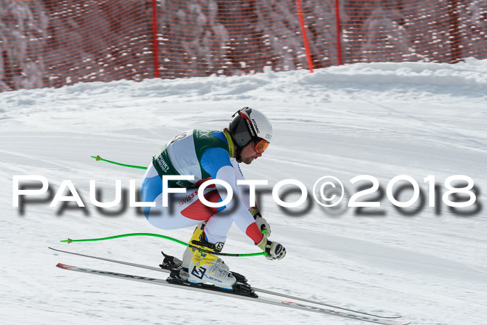 FIS, Int. Dt. Meisterschaft Abfahrt, Training, NC, NJC Damen + Herren, 22.03.2018