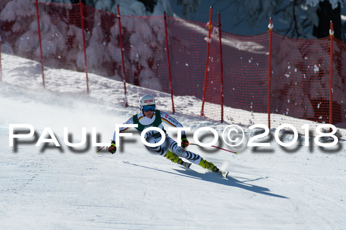 FIS, Int. Dt. Meisterschaft Abfahrt, Training, NC, NJC Damen + Herren, 22.03.2018
