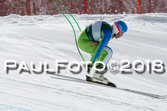 FIS, Int. Dt. Meisterschaft Abfahrt, Training, NC, NJC Damen + Herren, 22.03.2018