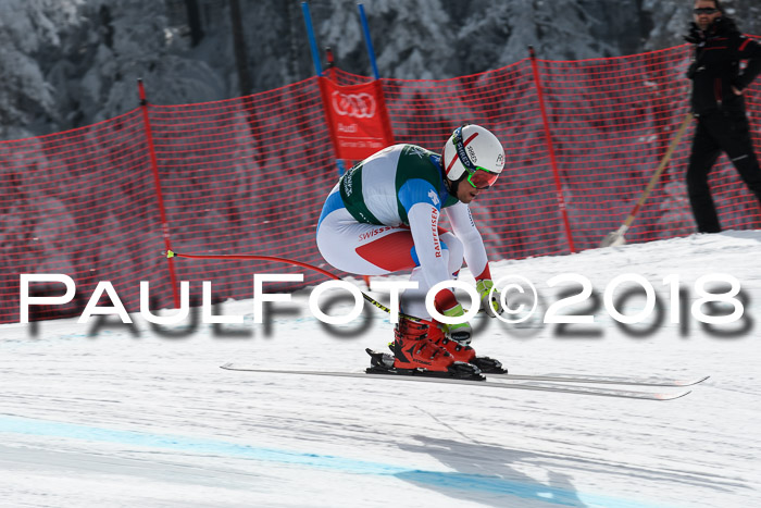 FIS, Int. Dt. Meisterschaft Abfahrt, Training, NC, NJC Damen + Herren, 22.03.2018