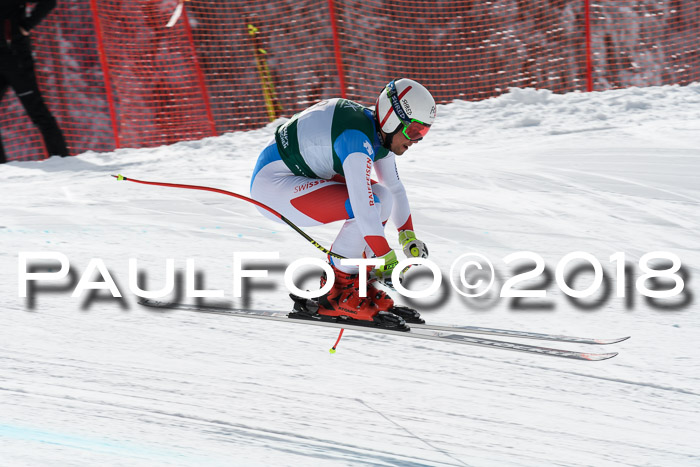 FIS, Int. Dt. Meisterschaft Abfahrt, Training, NC, NJC Damen + Herren, 22.03.2018
