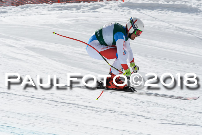 FIS, Int. Dt. Meisterschaft Abfahrt, Training, NC, NJC Damen + Herren, 22.03.2018