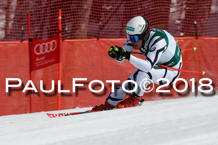 FIS, Int. Dt. Meisterschaft Abfahrt, Training, NC, NJC Damen + Herren, 22.03.2018