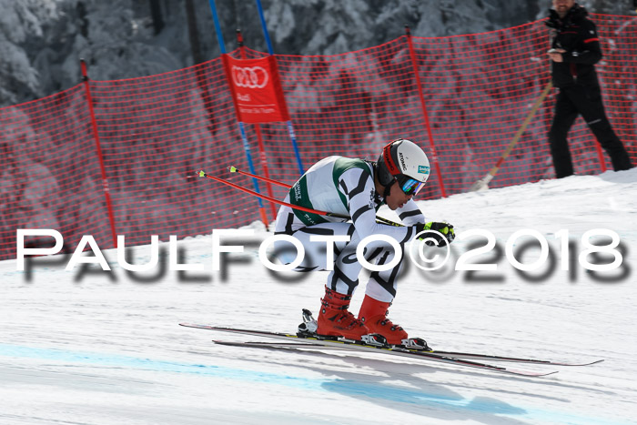 FIS, Int. Dt. Meisterschaft Abfahrt, Training, NC, NJC Damen + Herren, 22.03.2018