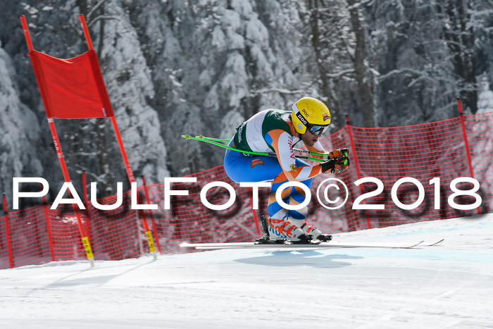 FIS, Int. Dt. Meisterschaft Abfahrt, Training, NC, NJC Damen + Herren, 22.03.2018